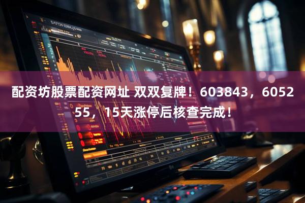 配资坊股票配资网址 双双复牌！603843，605255，15天涨停后核查完成！