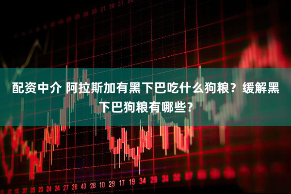 配资中介 阿拉斯加有黑下巴吃什么狗粮？缓解黑下巴狗粮有哪些？