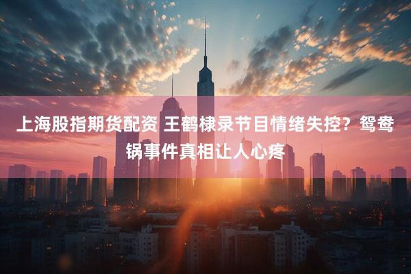 上海股指期货配资 王鹤棣录节目情绪失控？鸳鸯锅事件真相让人心疼