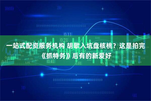 一站式配资服务机构 胡歌入坑盘核桃？这是拍完《抓特务》后有的新爱好